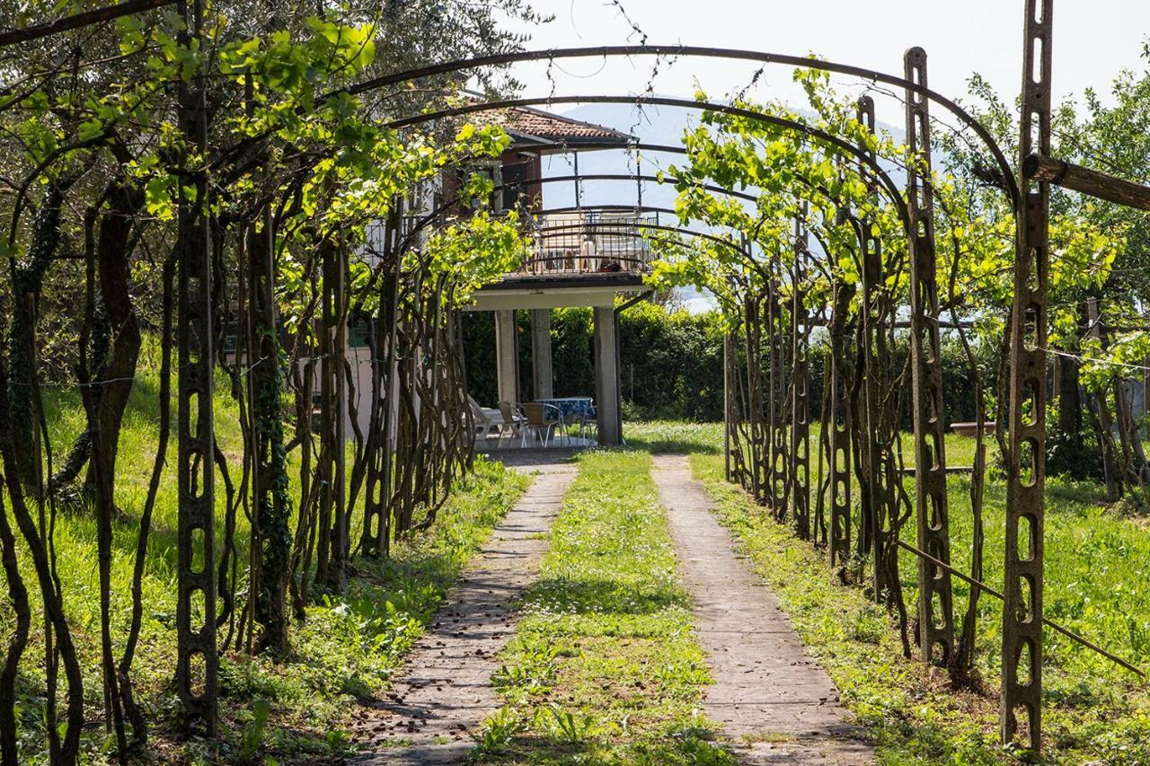 Villa Florida App Pelikan Oben Und App Sandpiper Unten Pilzone Zewnętrze zdjęcie